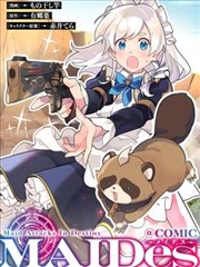 风之谷